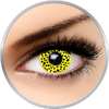 Auva Vision Fantaisie Yellow Cheetah - lentile de contact pentru Halloween anuale - 365 purtari (2 lentile/cutie)